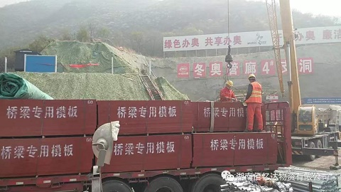 橋梁專用模板生產廠家
